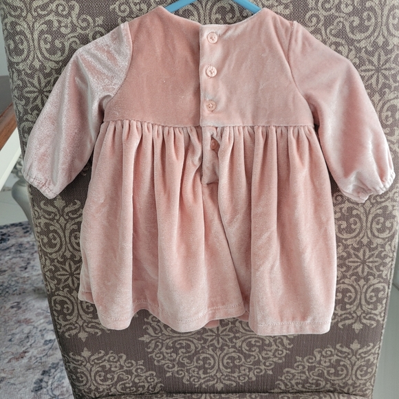 Fall Velor Dress - Picture 3 of 7